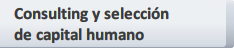 Consulting y selecci�n
de capital humano